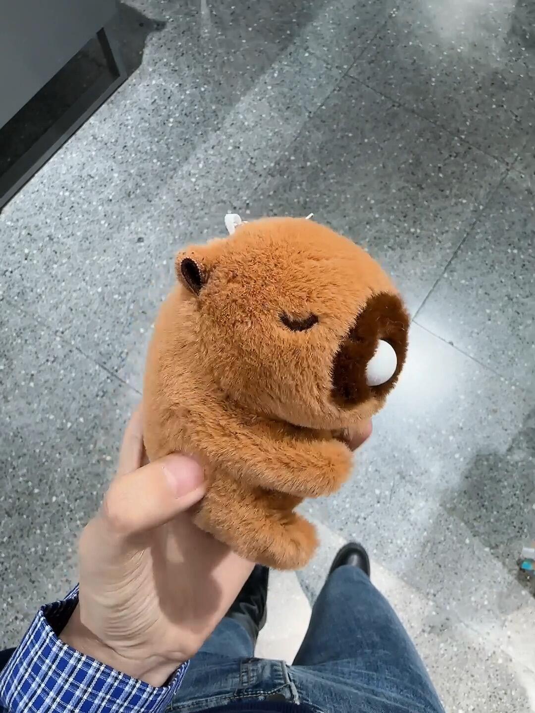 Capybara Plush Cute Stufffed Keychain Funny Squeeze Dolls Bag Accessories Pop Bubble Sound & Stress Relief Gifts for Women