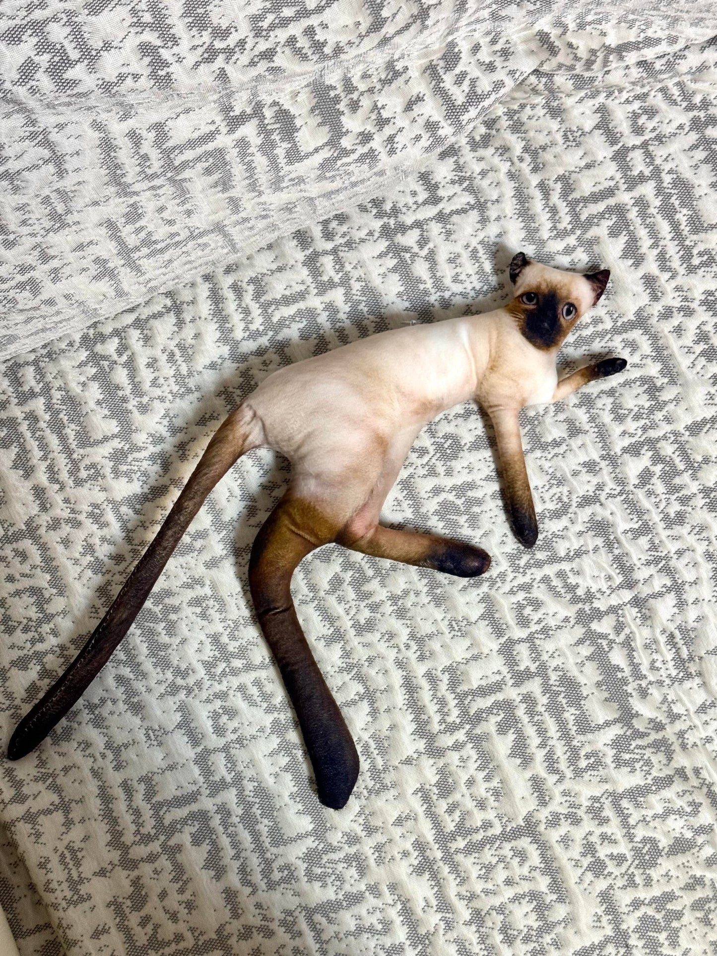 Customized Ugly Pet Pillows After Order Send Pics to capybaratoys.us@gmail.com