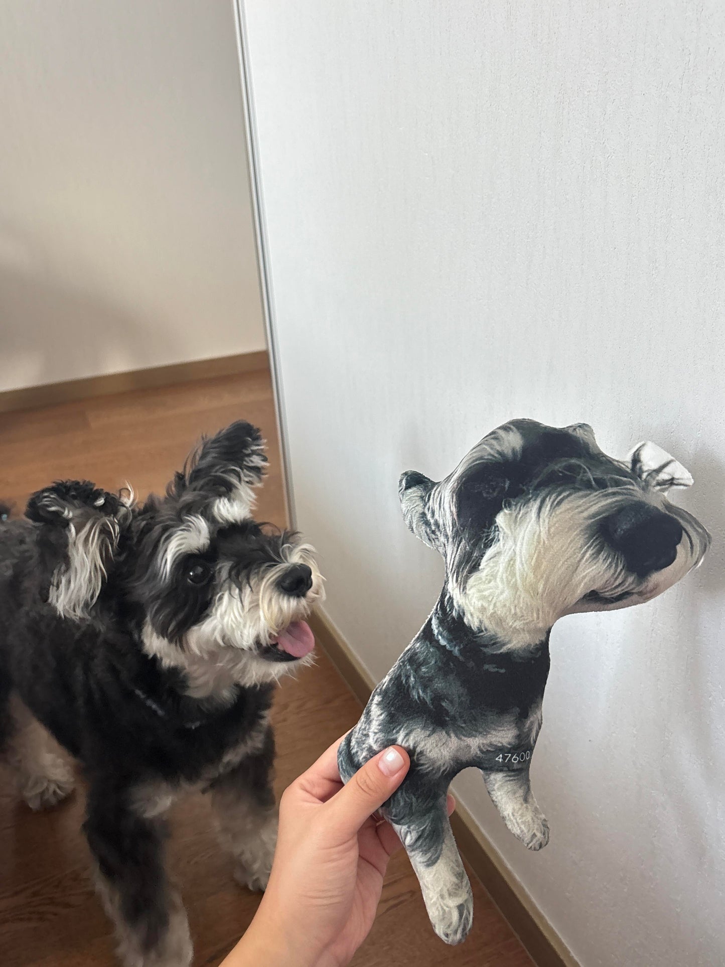 Customized Ugly Pet Pillows After Order Send Pics to capybaratoys.us@gmail.com