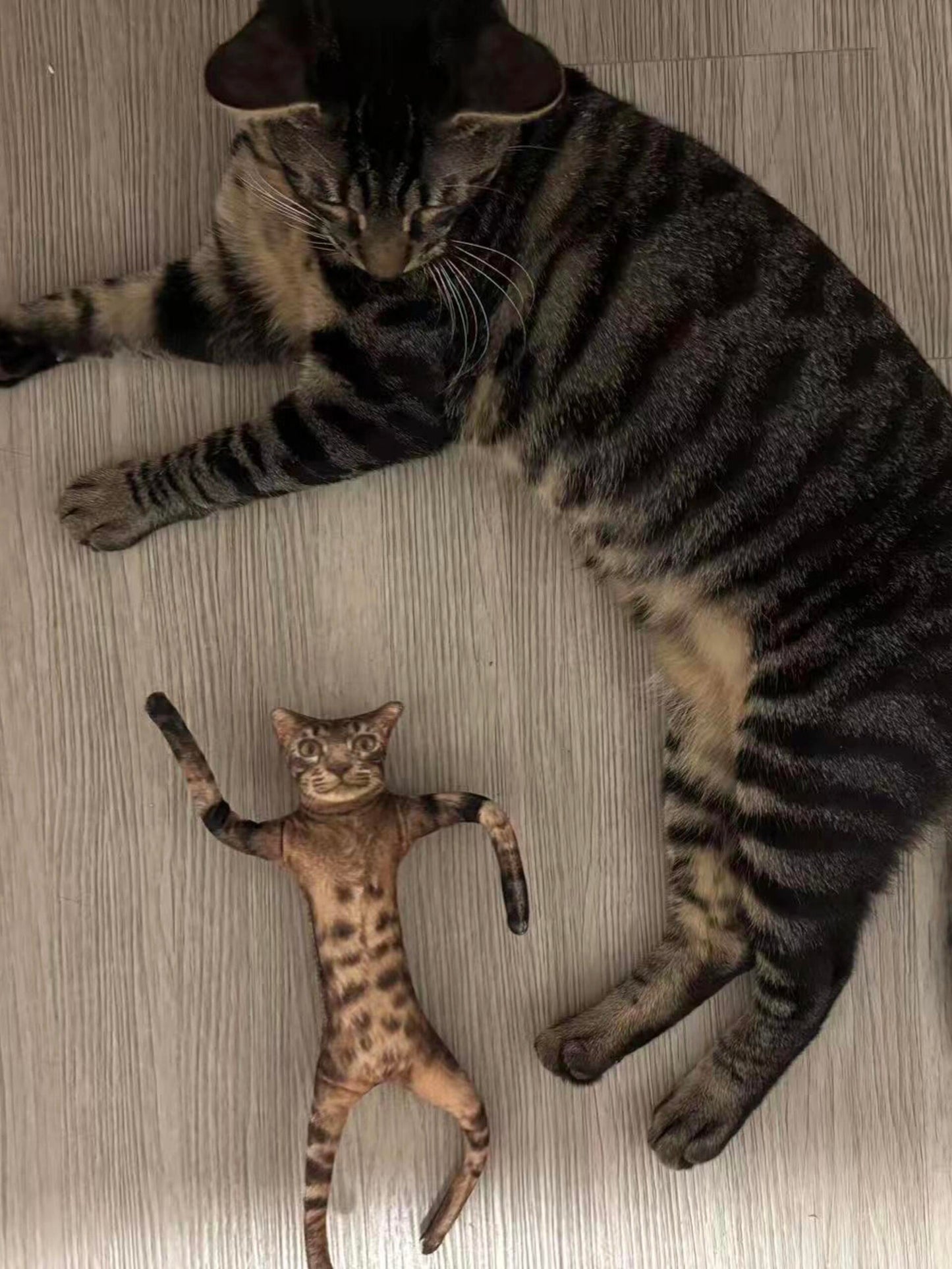 Customized Ugly Pet Pillows After Order Send Pics to capybaratoys.us@gmail.com