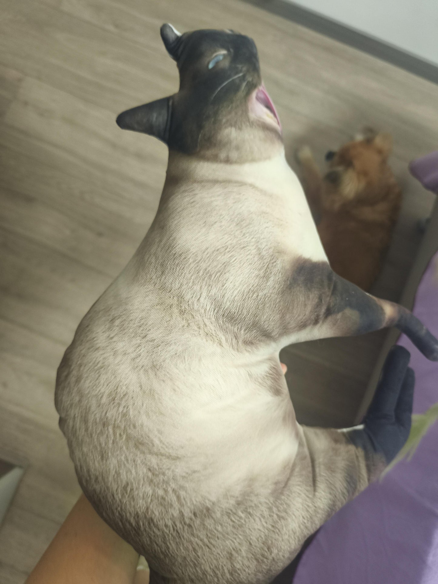 Customized Ugly Pet Pillows After Order Send Pics to capybaratoys.us@gmail.com