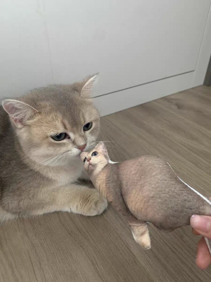 Customized Ugly Pet Pillows After Order Send Pics to capybaratoys.us@gmail.com