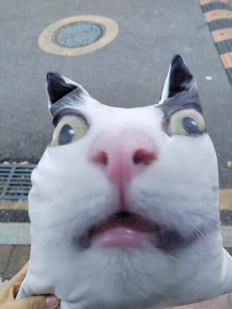 Customized Ugly Pet Pillows After Order Send Pics to capybaratoys.us@gmail.com