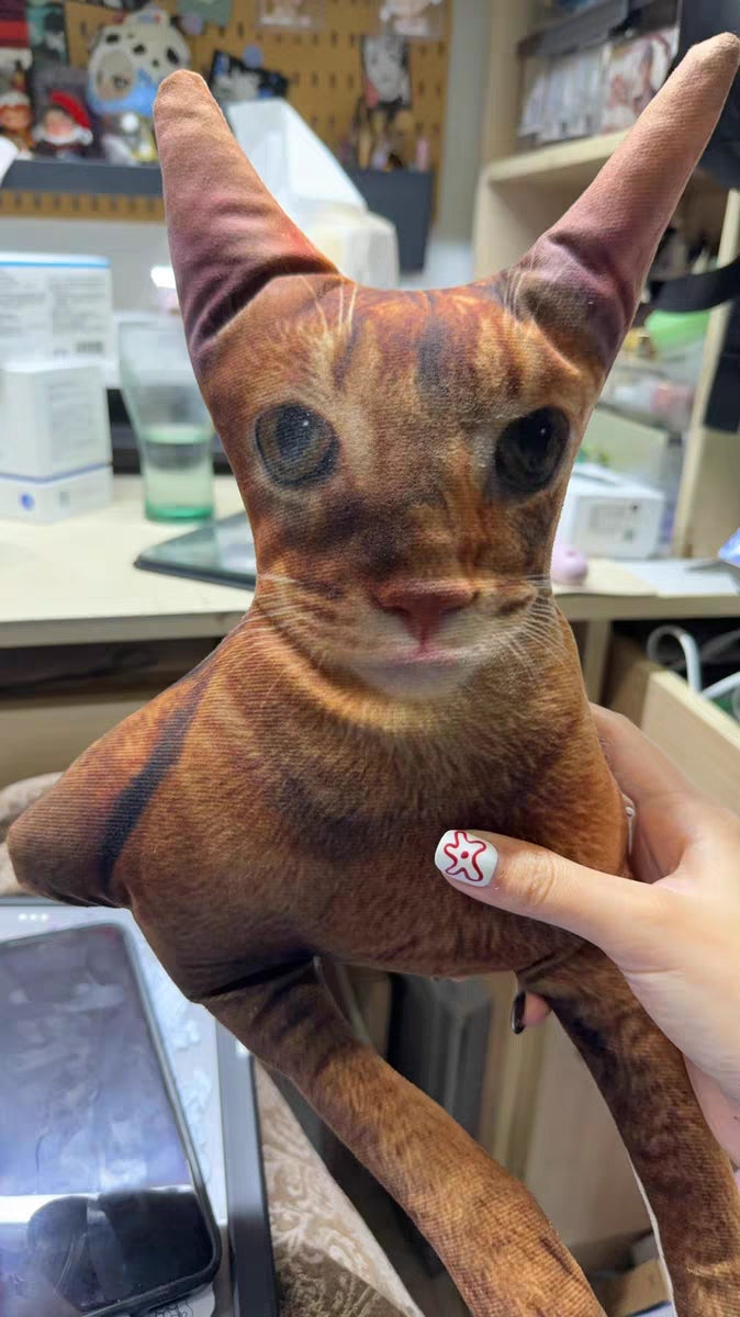 Customized Ugly Pet Pillows After Order Send Pics to capybaratoys.us@gmail.com