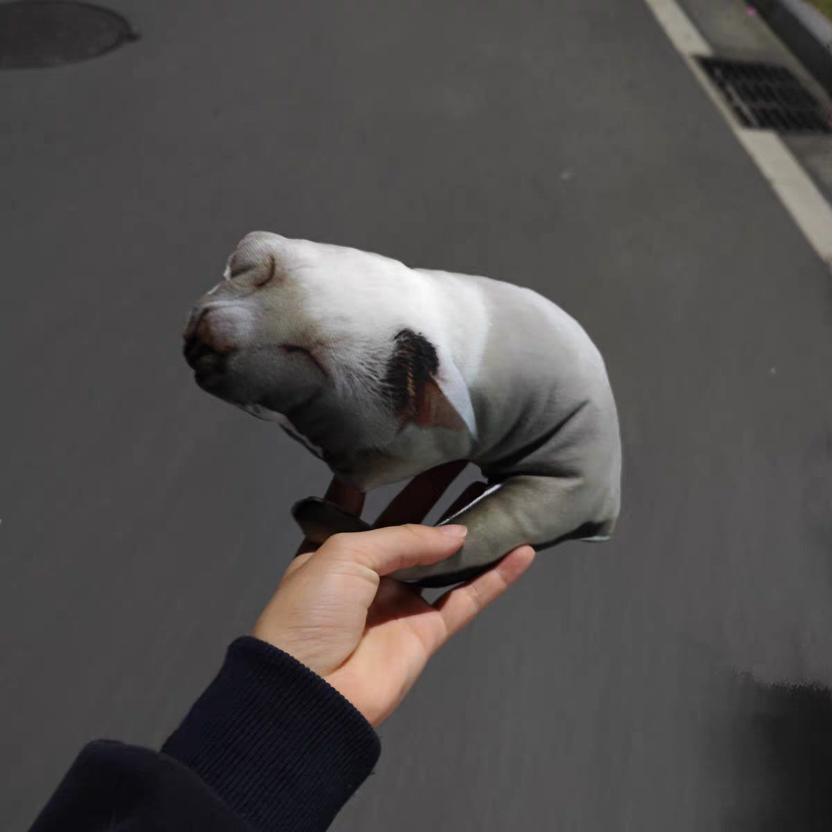 Customized Ugly Pet Pillows After Order Send Pics to capybaratoys.us@gmail.com