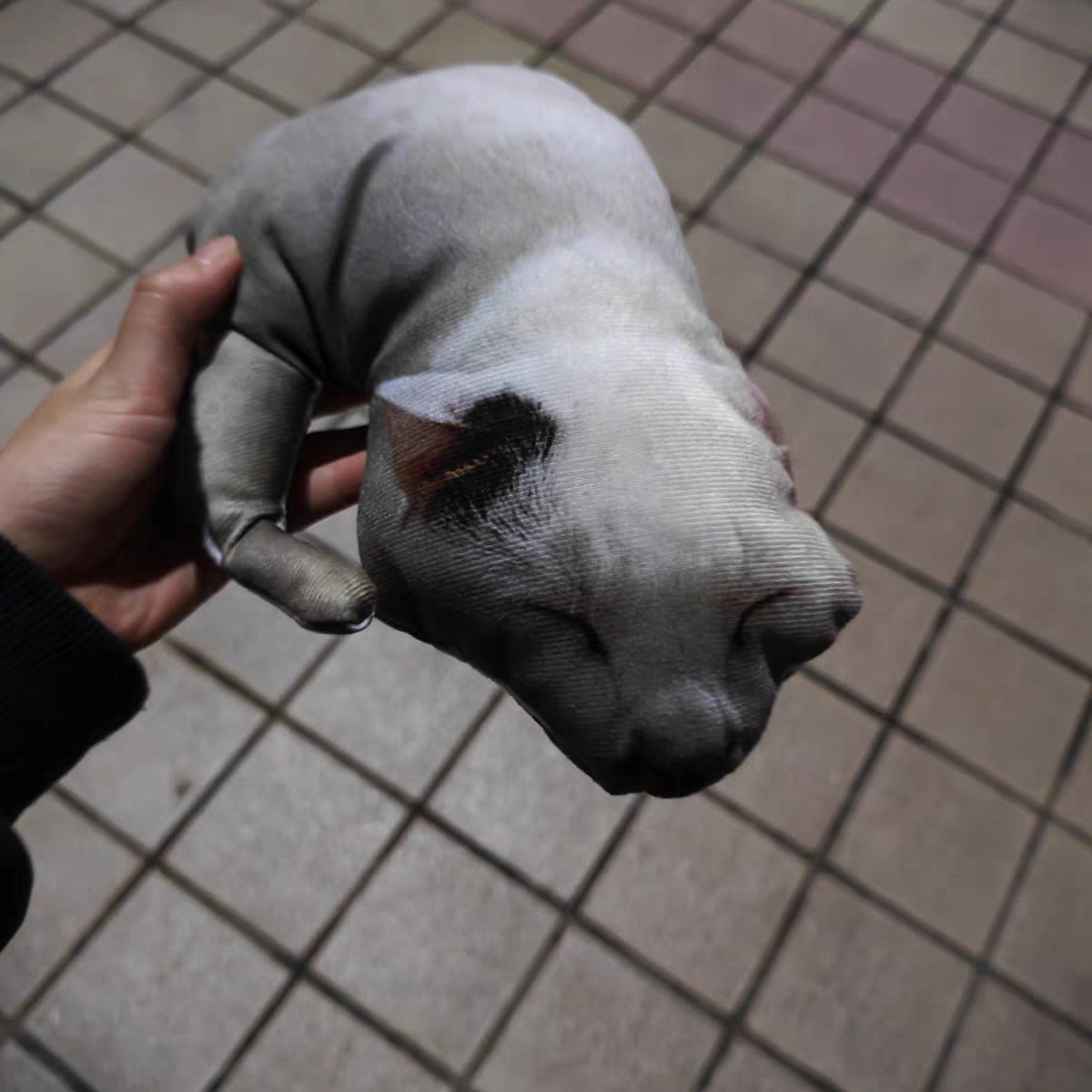 Customized Ugly Pet Pillows After Order Send Pics to capybaratoys.us@gmail.com
