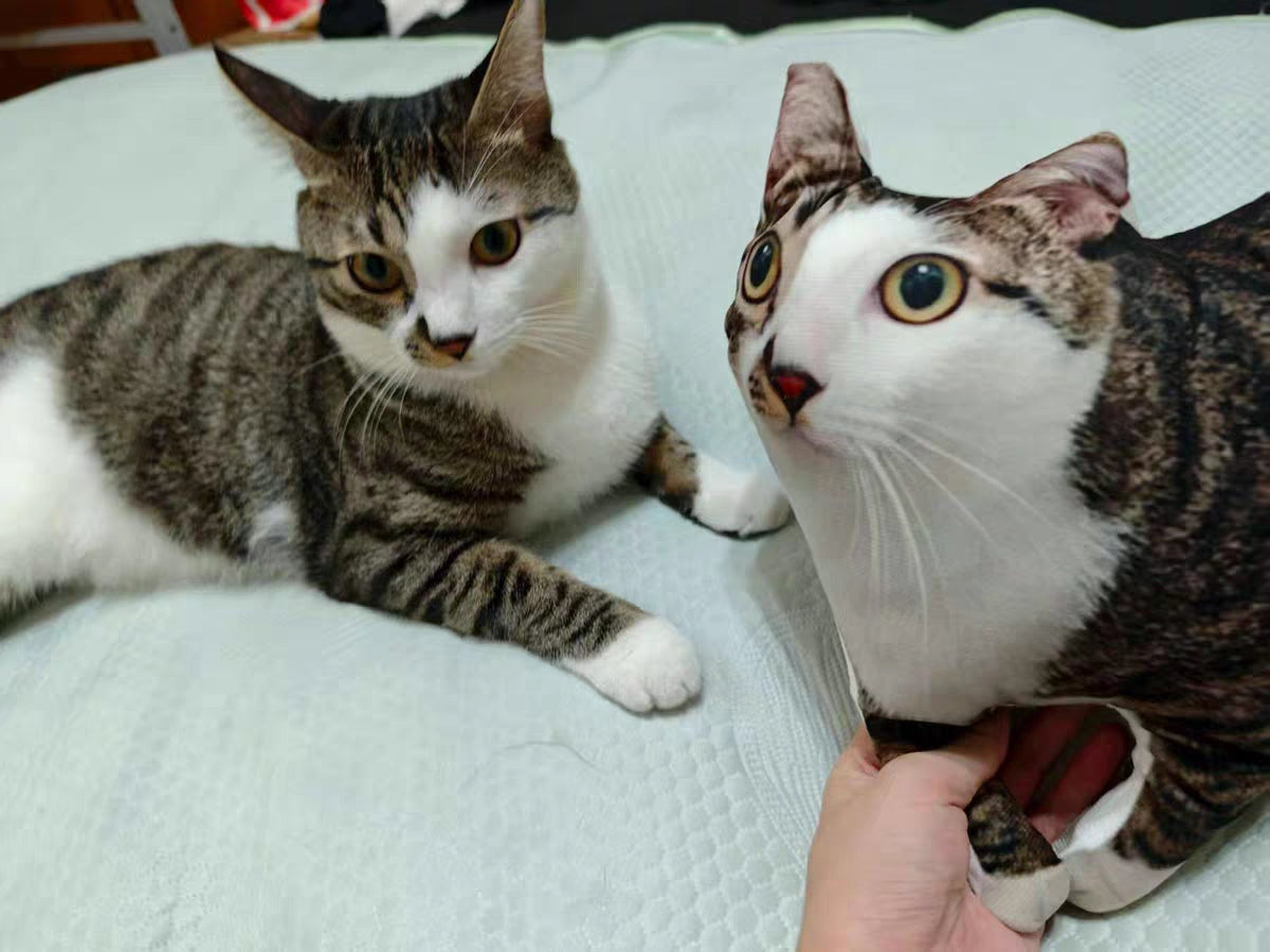 Customized Ugly Pet Pillows After Order Send Pics to capybaratoys.us@gmail.com