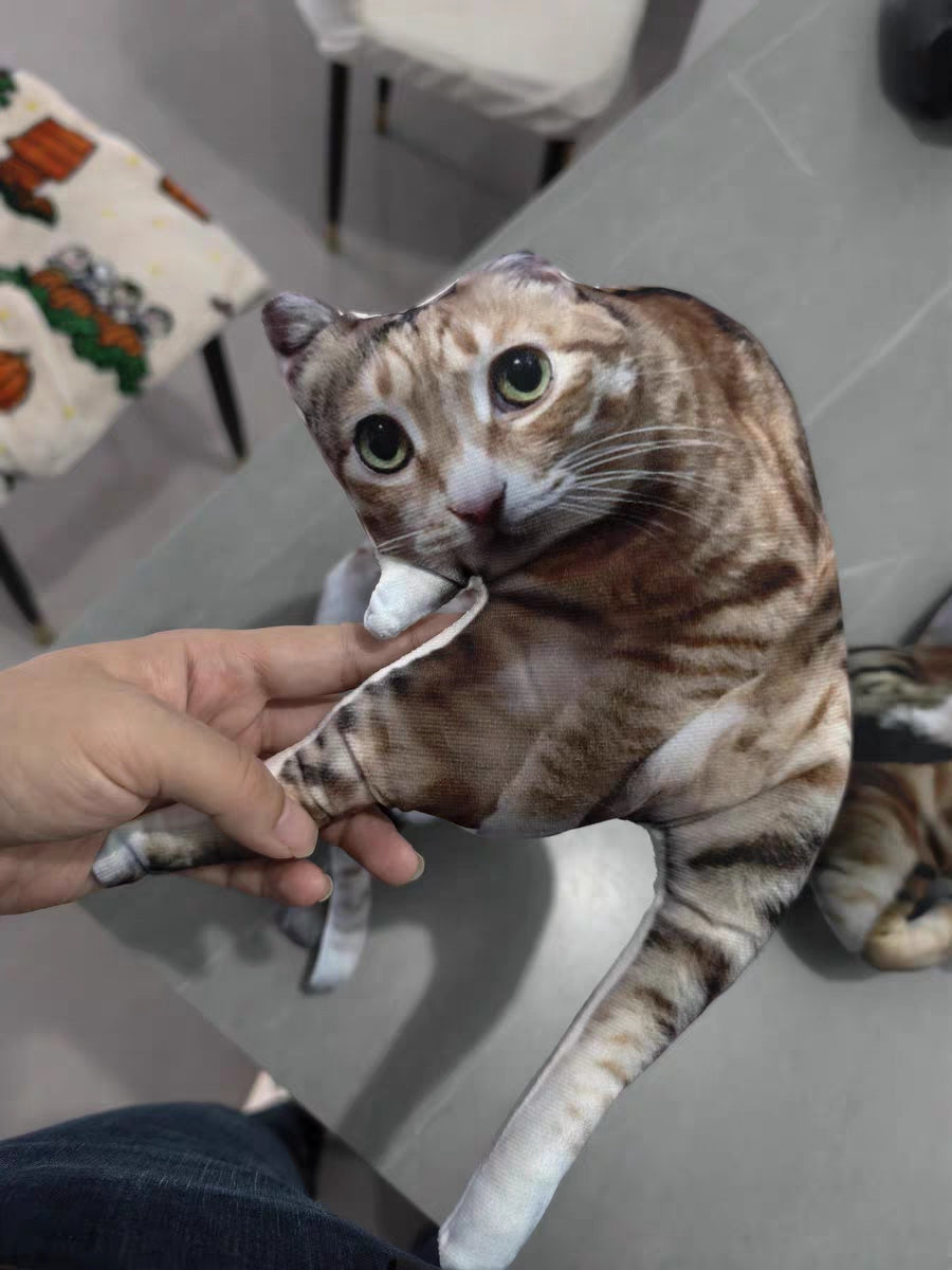 Customized Ugly Pet Pillows After Order Send Pics to capybaratoys.us@gmail.com