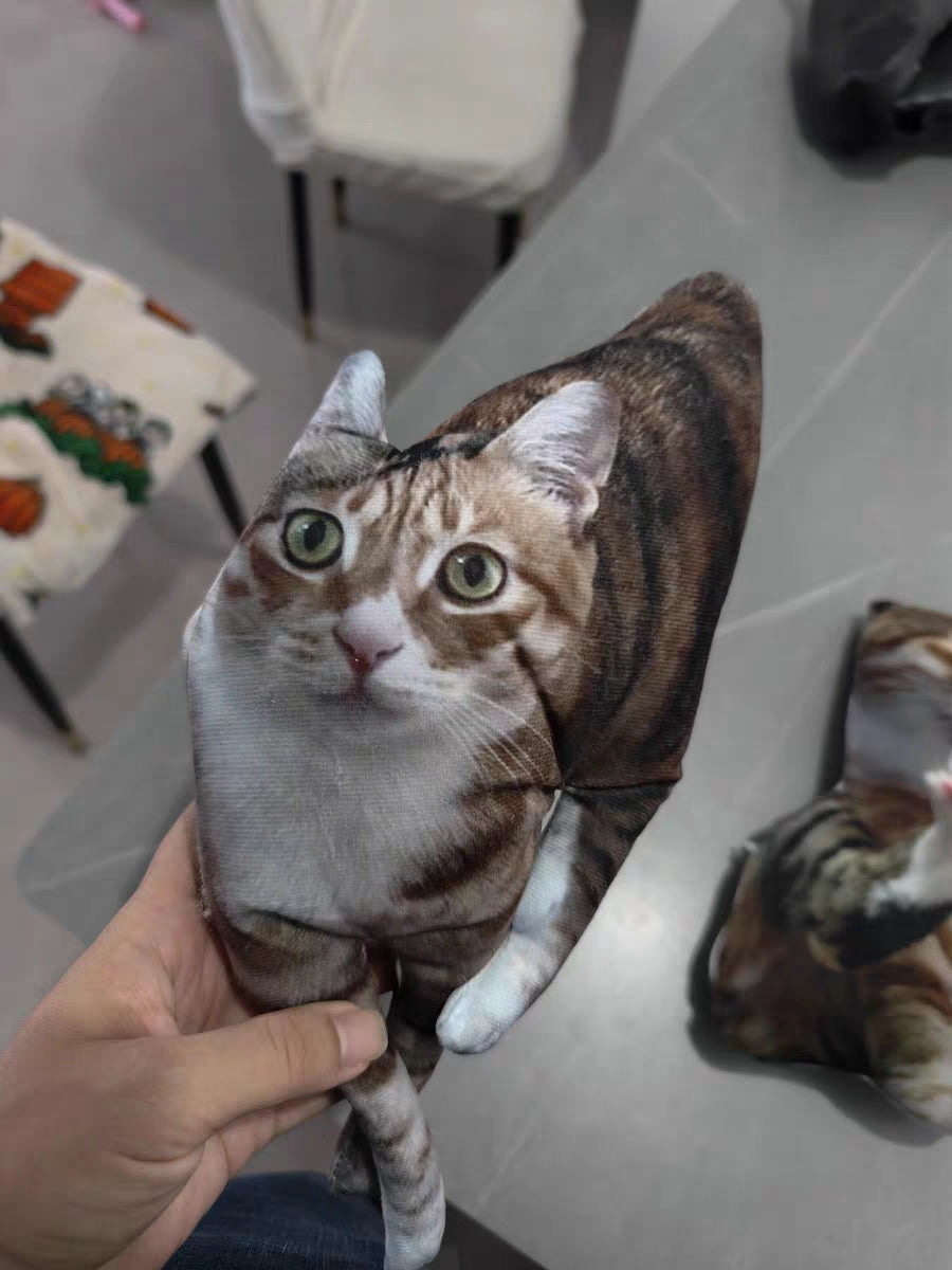 Customized Ugly Pet Pillows After Order Send Pics to capybaratoys.us@gmail.com