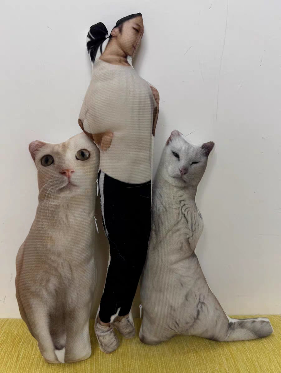 Customized Ugly Pet Pillows After Order Send Pics to capybaratoys.us@gmail.com