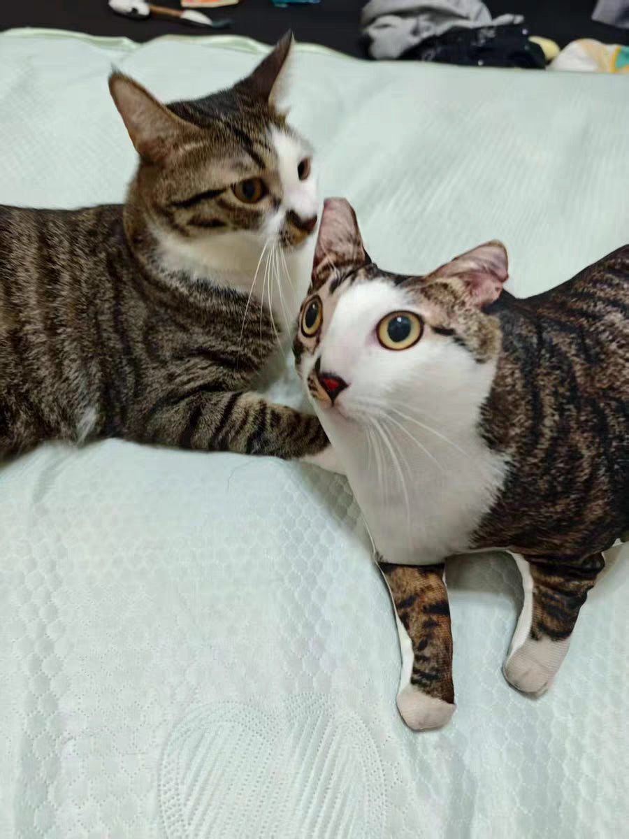 Customized Ugly Pet Pillows After Order Send Pics to capybaratoys.us@gmail.com