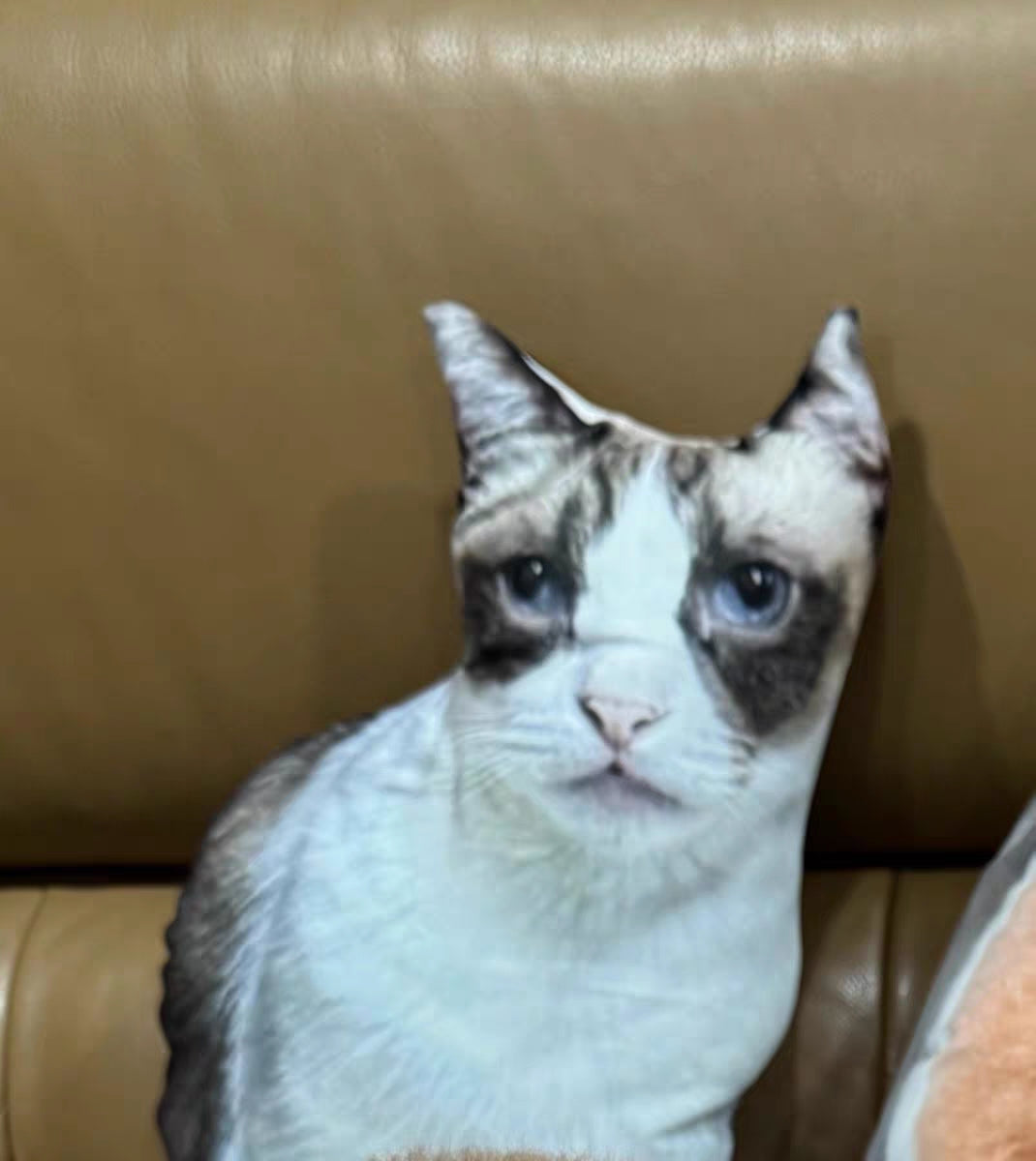 Customized Ugly Pet Pillows After Order Send Pics to capybaratoys.us@gmail.com