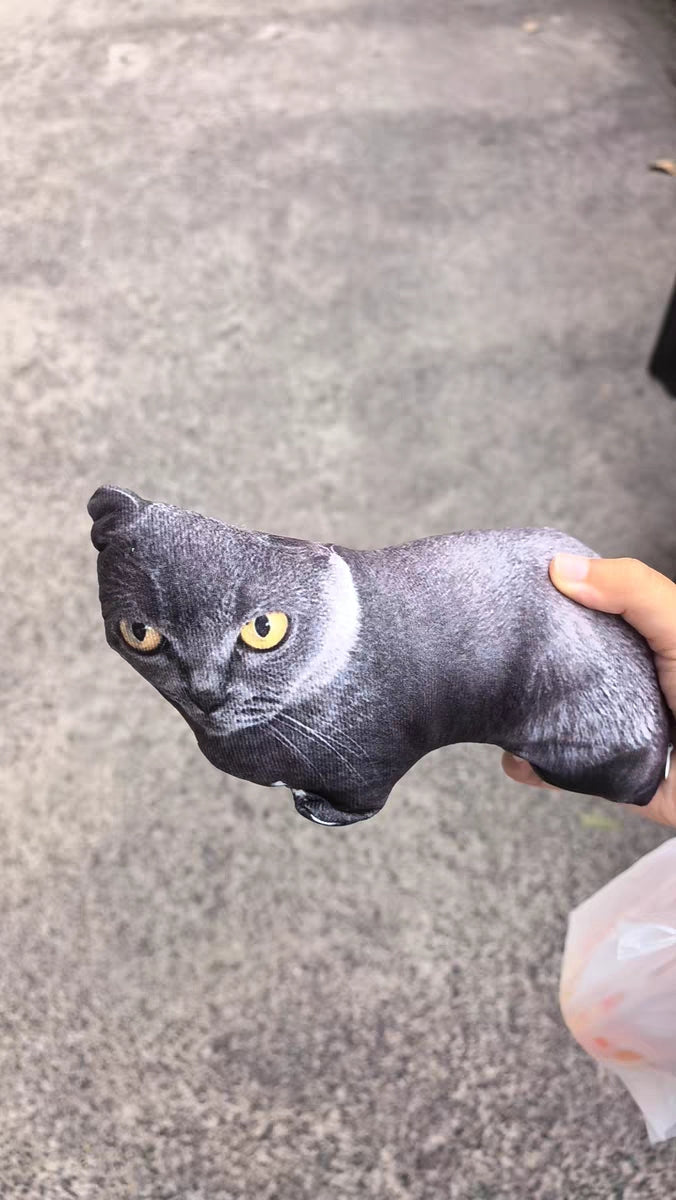 Customized Ugly Pet Pillows After Order Send Pics to capybaratoys.us@gmail.com