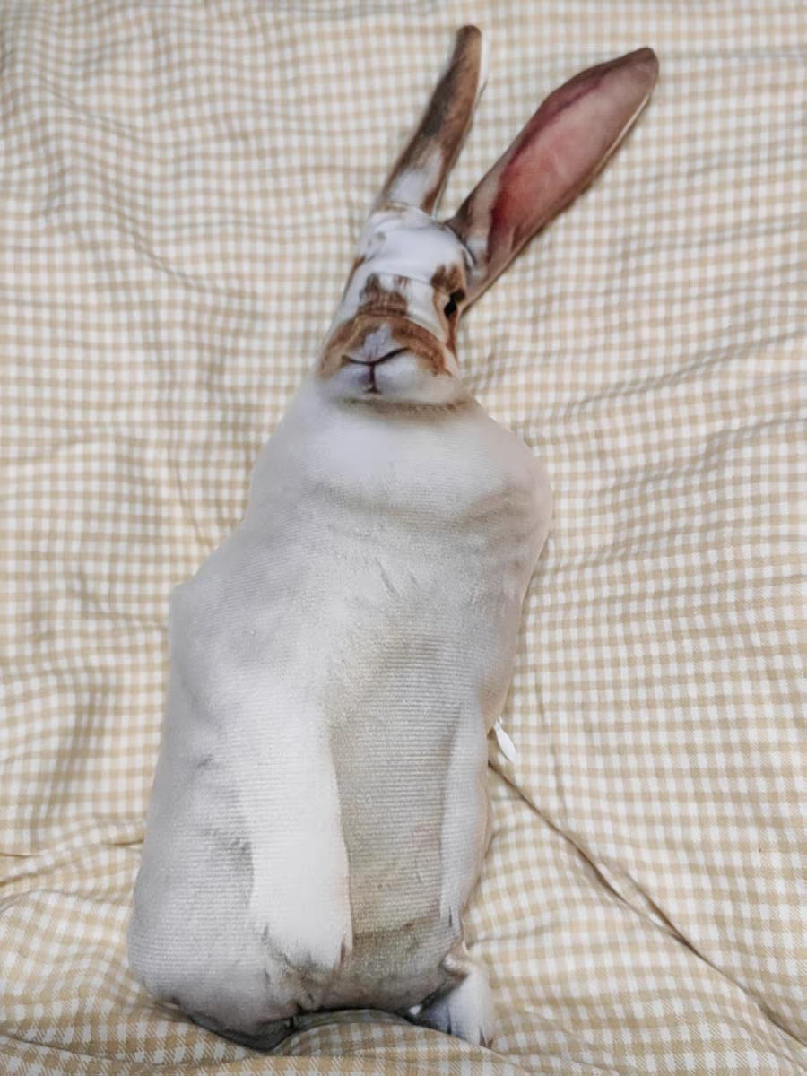 Customized Ugly Pet Pillows After Order Send Pics to capybaratoys.us@gmail.com